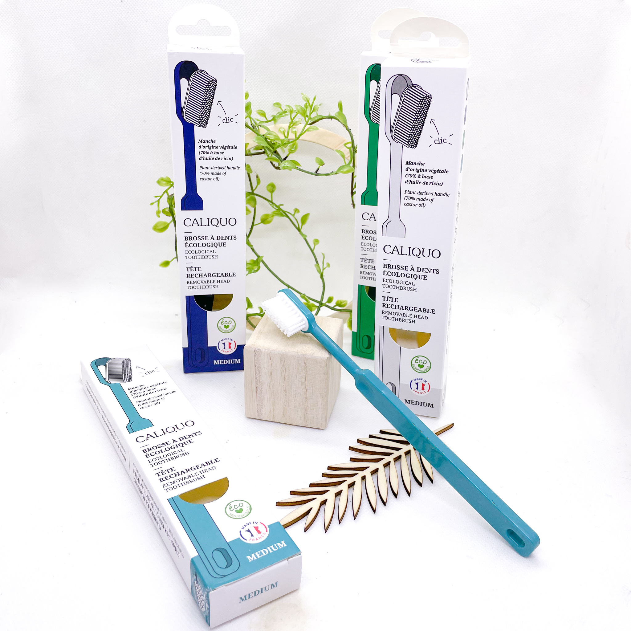 Brosse à dents 1